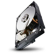 Cargar imagen en el visor de la galería, Seagate 3TB Enterprise Capacity HDD SATA 6Gb/s 128MB Cache 3.5-Inch Internal Bare Drive (ST3000NM0033)-FoxTI
